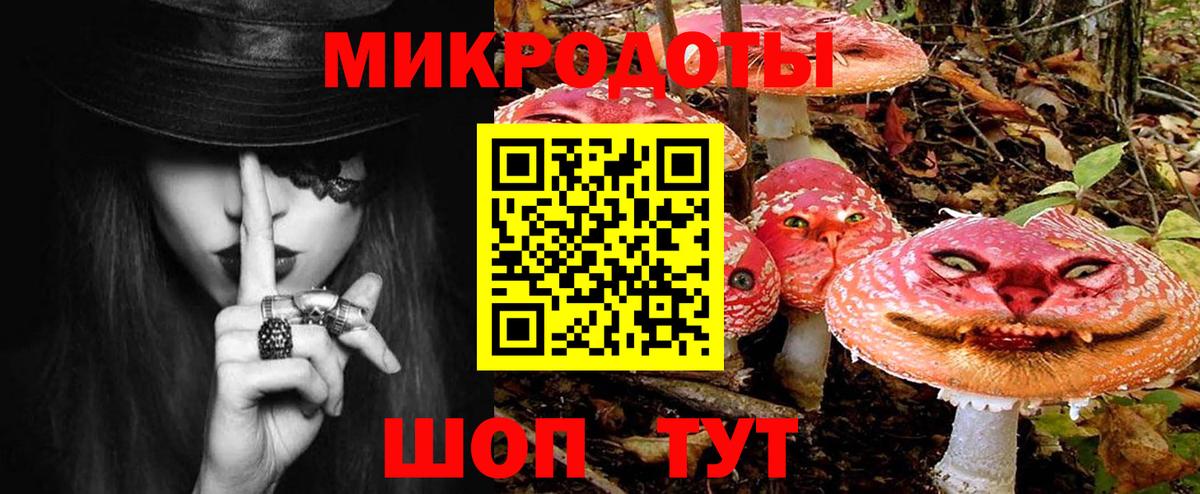 купить наркотик  Вход с VPN  Верхний Уфалей  Галлюциногенные грибы Psilocybe 