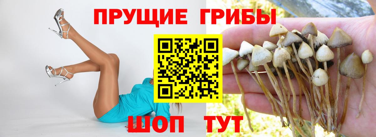 Галлюциногенные грибы ЛСД Верхний Уфалей